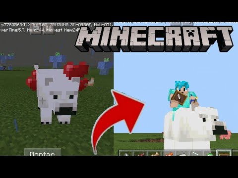 ¿Como Domar Un Oso Panda En Minecraft?